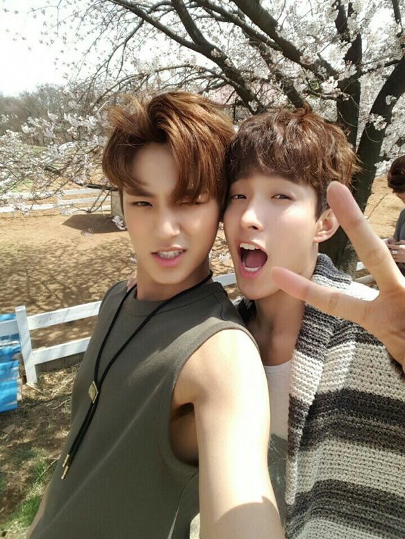 dojjingyujjin's tweet image. seokgyu but as you scroll, they get older (selca version) #민규 #도겸