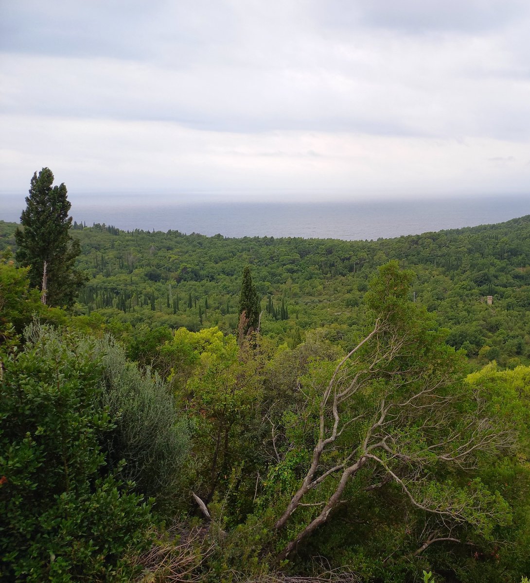 SSaranovic's tweet image. Ðurđevo brdo danas. Lice i naličje.