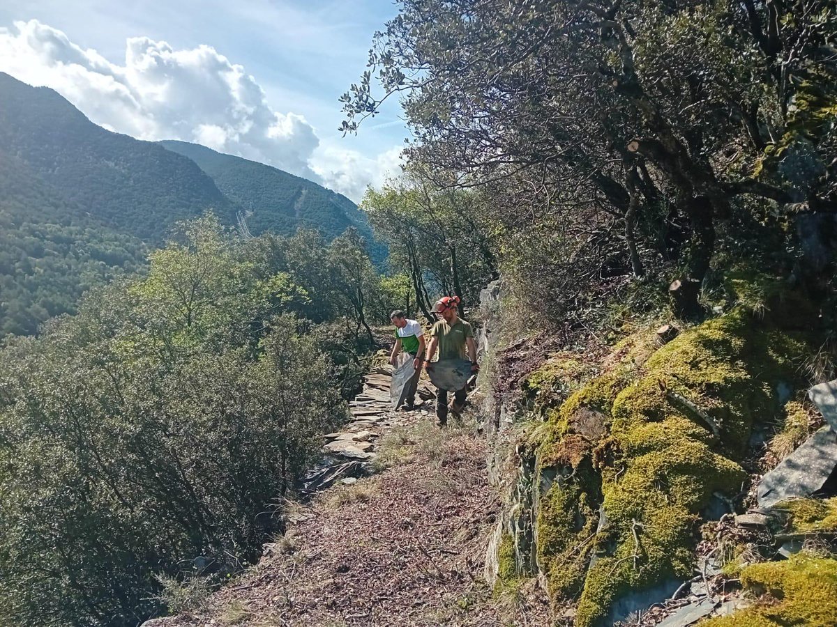pnaltpirineu's tweet image. 🌿 Recuperem els camins històrics d’accés a les lloseres ⛏️ del Vinyer de Llavorsí: obertura i arranjament dels camins, escales de fusta i marcatge amb pintura groga.

👉 El 13/09 podreu gaudir d’una visita guiada organitzada per l'APAPNAP!

#PNAltPirineu #Lloseres #Patrimoni