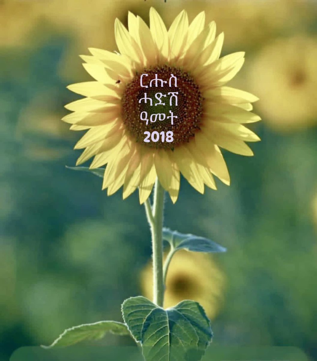እዚ ሓድሽ ዓመት ሓድሽ መንፈስ እንውንነሉ ናይ ሓድነት፣ ሰላም፣ ራህዋን ቕሳነትን ክኾነልና ልባዊ ትምኒት ተቐበሉ። 
እንኳዕ ንሓድሽ  ዓመት ኣቆፃፅራ ግእዝ 2018 ኣብፀሐና ኣብፅሐኩም!! 
May this coming Geez Calendar New Year of 2018 bear a new spirit for us.