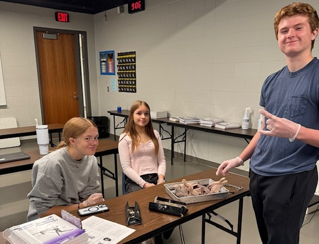Leah Renwanz's Human Anatomy and Physiology I class dissected pigs to learn about their anatomy.