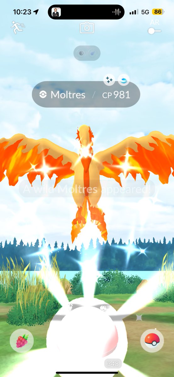 Omg 😱 just caught shiny ✨ G. Moltres 😍

#pokemongo #pokemon #gaymer #teaminstinct #shinyhunter #ShinyPokemon