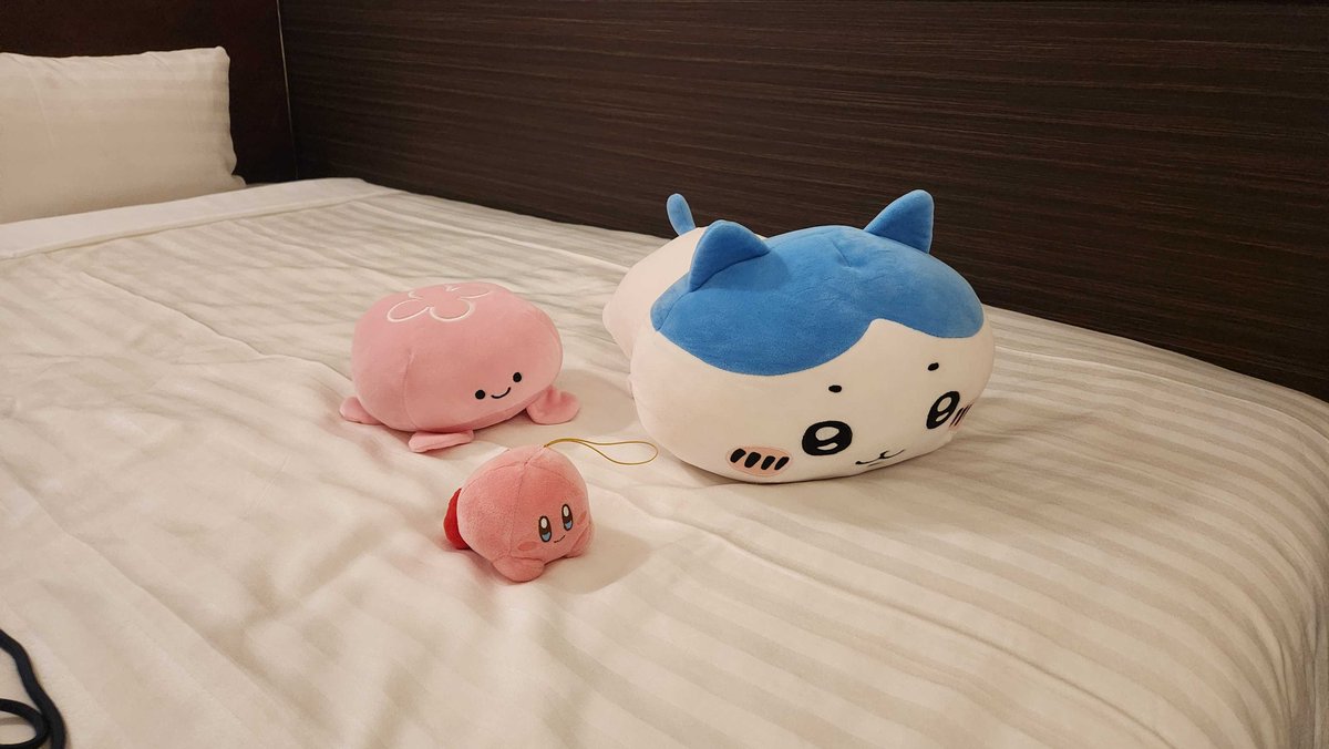 出張が辛すぎて衝動買いしました。スーツケースに入らないので抱えて帰ります・・・