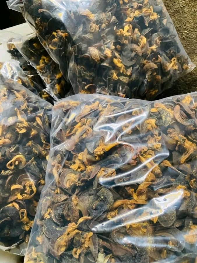 DBangala's tweet photo. L’élevage des escargots géants d’Afrique = business rentable, viande saine, marché énorme.
Qui veut se lancer dans cette aventure durable et lucrative ? https://t.co/Xl4DdnWL6o