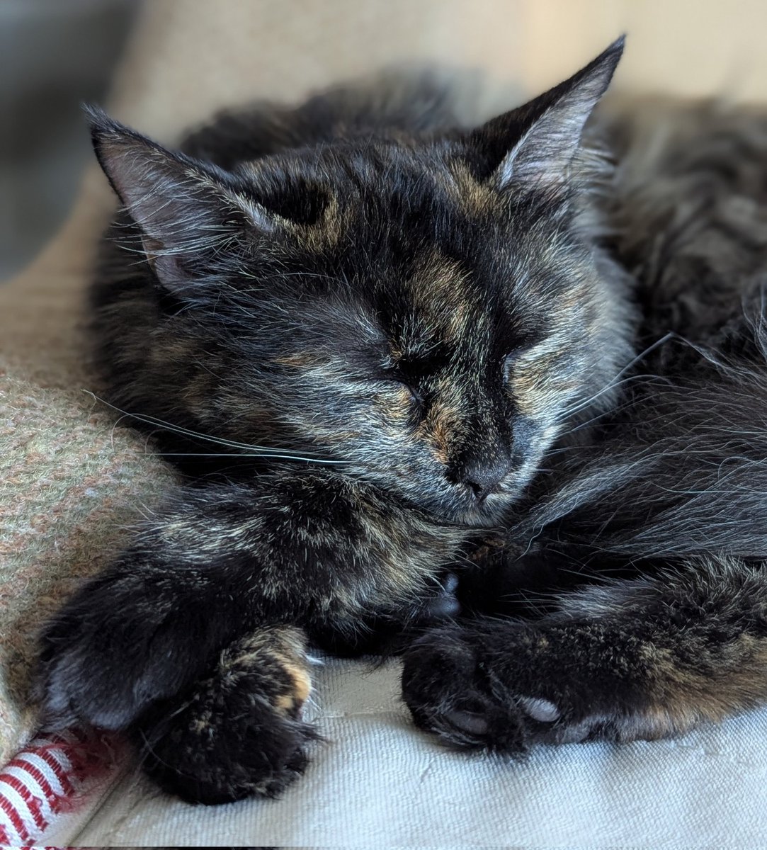 ‼️РТ ЗБІР‼️

Любі друзі, дорога родино!

Хлопці морпіхи з 505 бату звернулись за допомогою.

Треба купувать антени, 4 штуки терміново і ще 1 — по можливості.

Оскільки <a href="/by_Wasper/">Wasper</a> і <a href="/judasMBit/">Муравйов Віталій</a> вже купили 3 Мавки, нам треба швиденько зібрати 28 250грн 🥹

send.monobank.ua/jar/DsuhHHjra