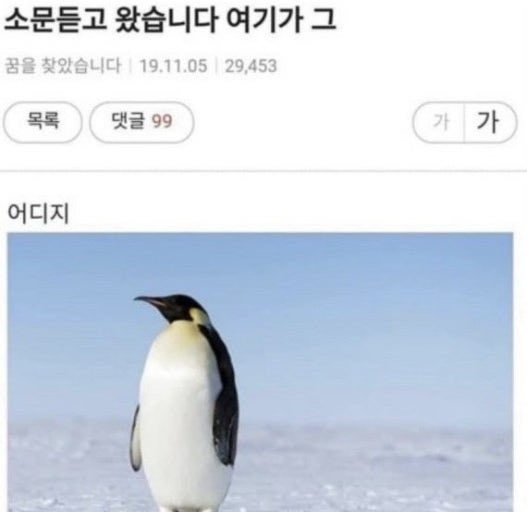동물 짤 모으는 사람 tweet media