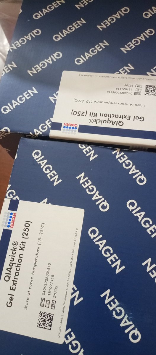 benjmuts2's tweet photo. @QIAGENscience @QIAGEN In Unity there's https://t.co/f9Cloc1XSr partitions,#precision @MRC_Uganda @cphluganda @IGADsecretariat #sampletoinsight https://t.co/1lmpdMmHUI