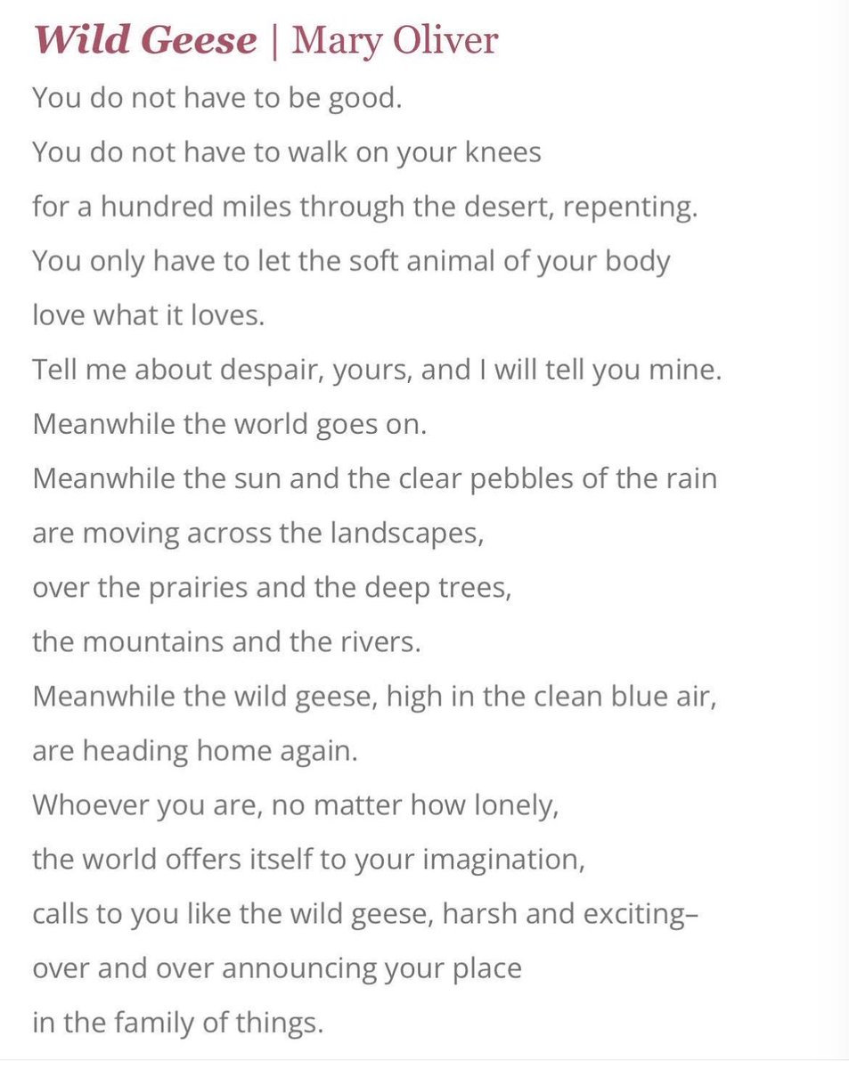 Jack Kornfield tweet media