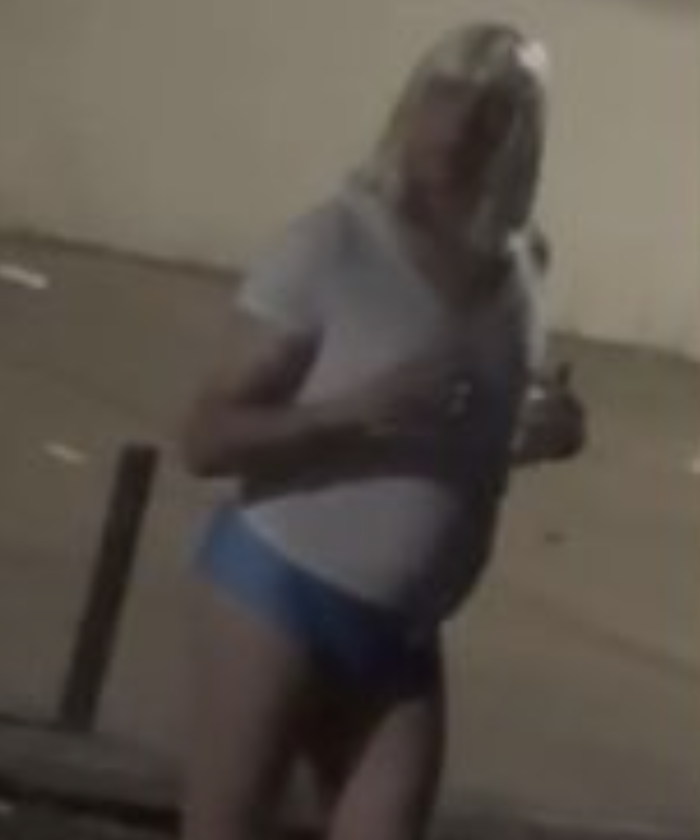 uma pessoa de peruca que apura crimes melhor do que o fux