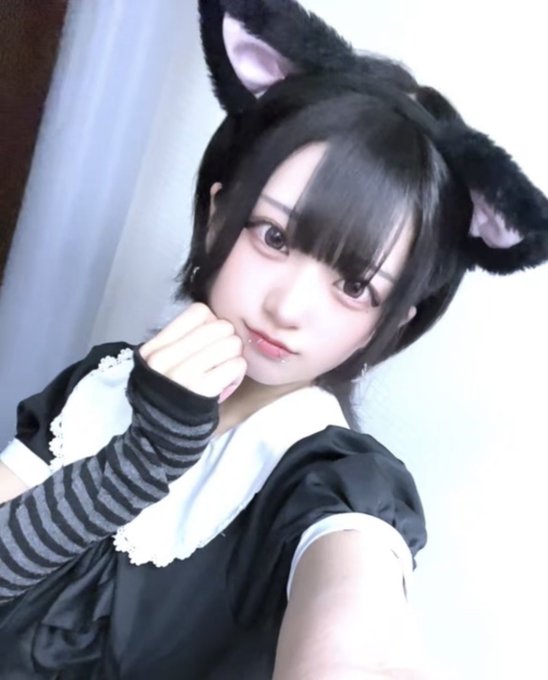 にゃんこメイドカフェ にゃんさんぶるのツイート
