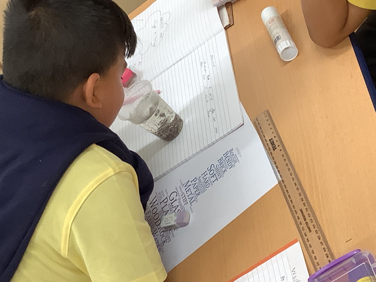 Maple Year 5 tweet media