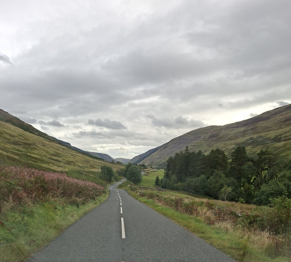 Grey mares tale road to get to Braidwood, a glorious drive through managed ground. A testament to Scottish Agriculture