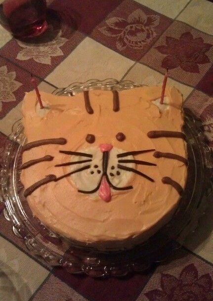 JonathanSims_'s tweet photo. Yesterday it was my birthday, and Martin made me a Tangerine cake! 😊 https://t.co/F3GAZtfqHU