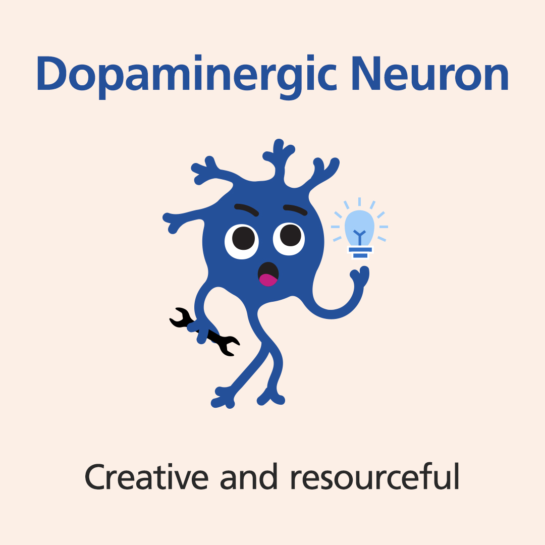 STEMCELLTech's tweet image. Creative? Resourceful? Maybe you're a dopaminergic #neuron. 🕵️

Take the quiz and find out what type of neuron *you* are: bit.ly/3HqwgLp