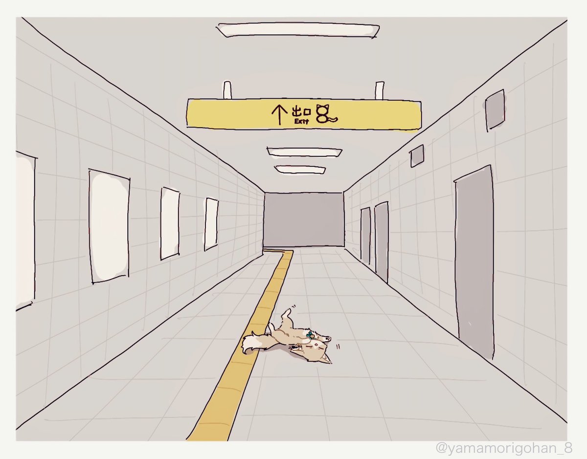 何か落ちてる…