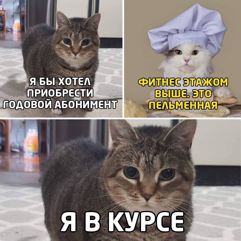 catsilcats's tweet photo. https://t.co/UOLHNWwR09