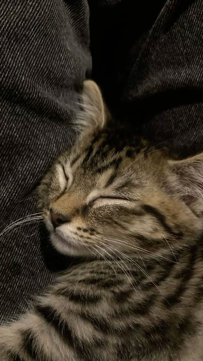 dienmelnier's tweet photo. Fly high my baby, I love you and I miss you so much. https://t.co/kW7laxy6sS