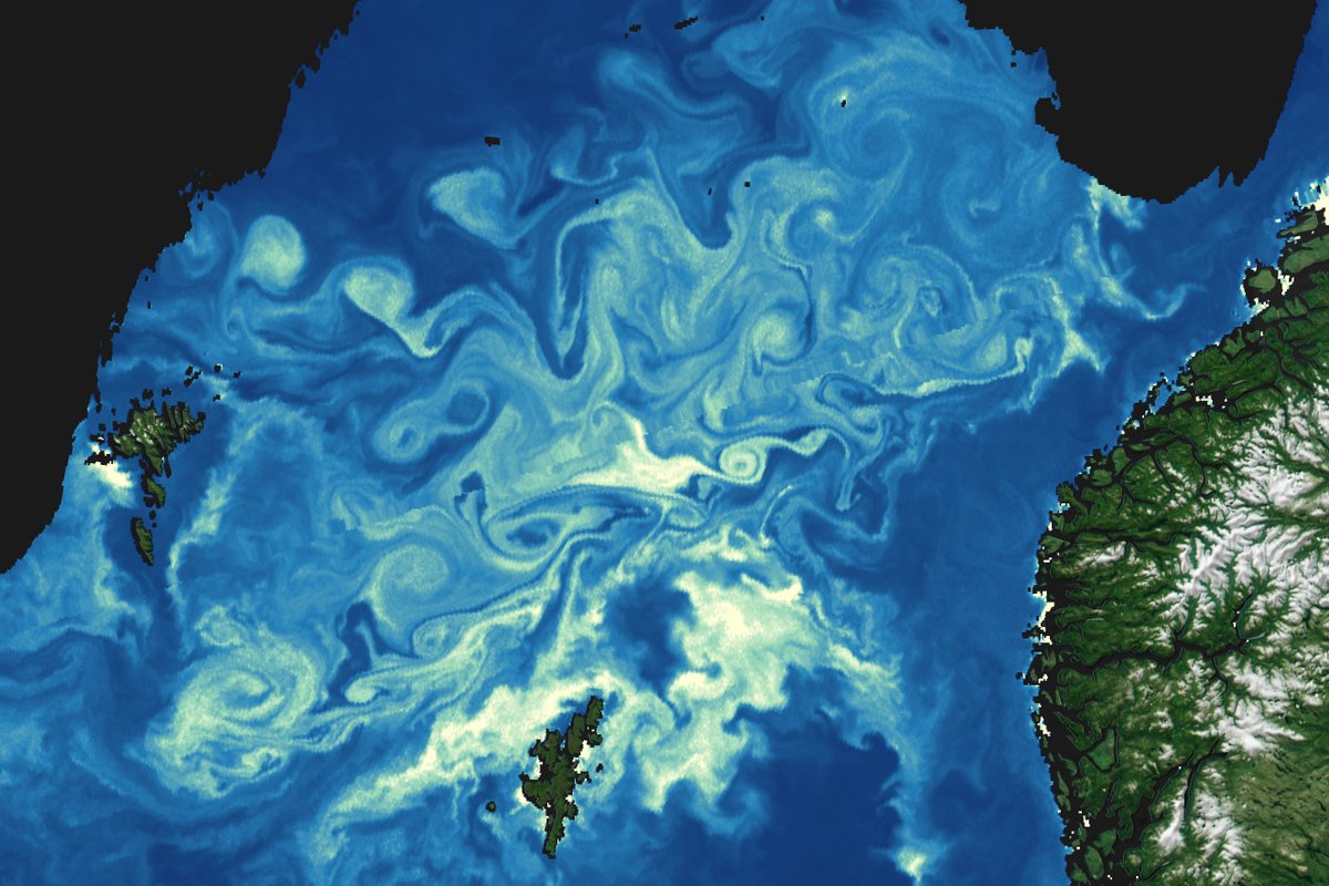 Chris Hadfield tweet media