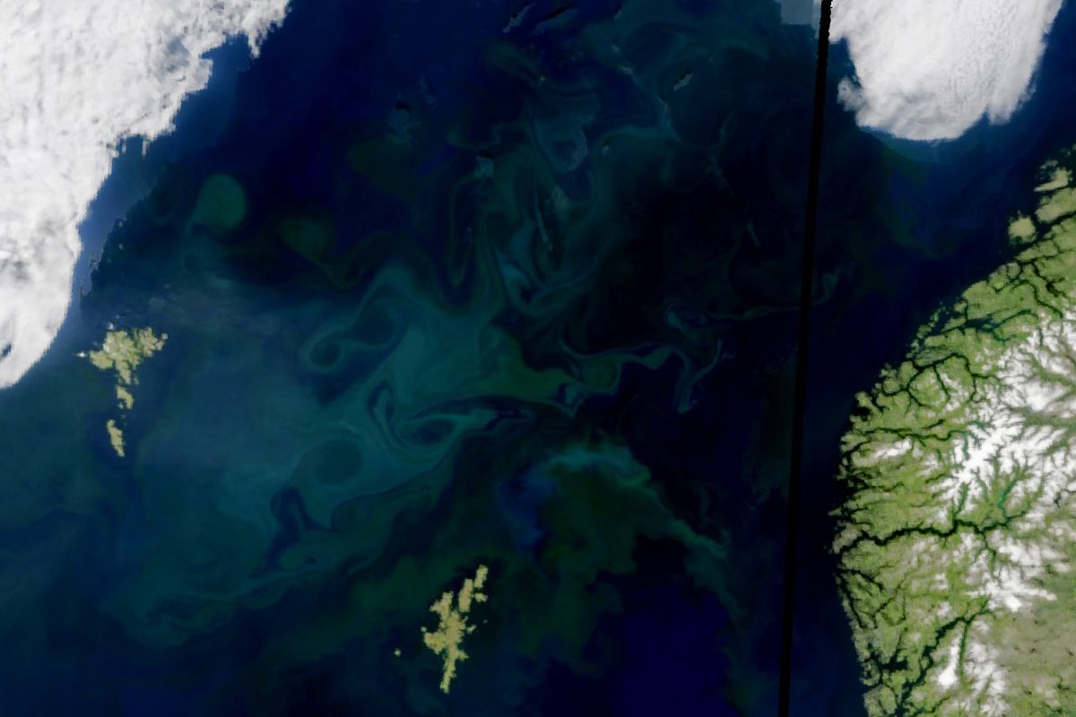 Chris Hadfield tweet media