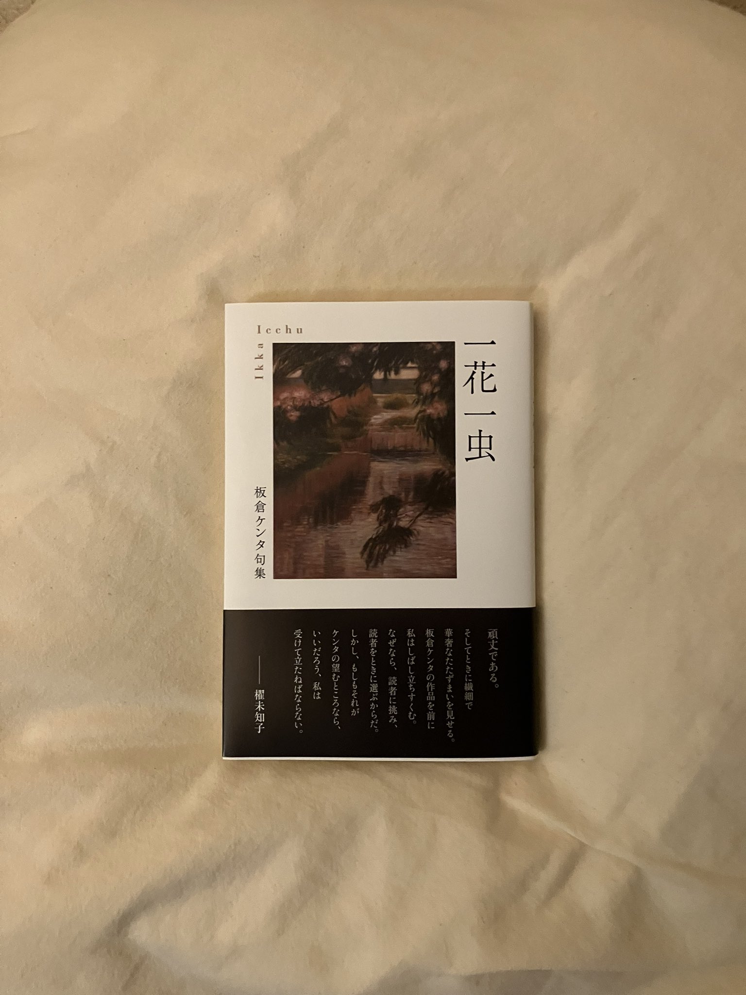 中古】 見沼野 武井三重句集/ふらんす堂/武井三重 武井三重句集