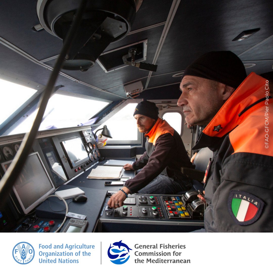 UN_FAO_GFCM's tweet photo. At the @guardiacostiera forum @mbernal_GFCM highlighted how we rely on the work of coastguards, fisheries inspectors &amp; port inspectors to monitor and control the activities of the fleet.

They are crucial to fostering a sustainable future for our region.

#GFCMCompliance https://t.co/xuMHXgiq1n