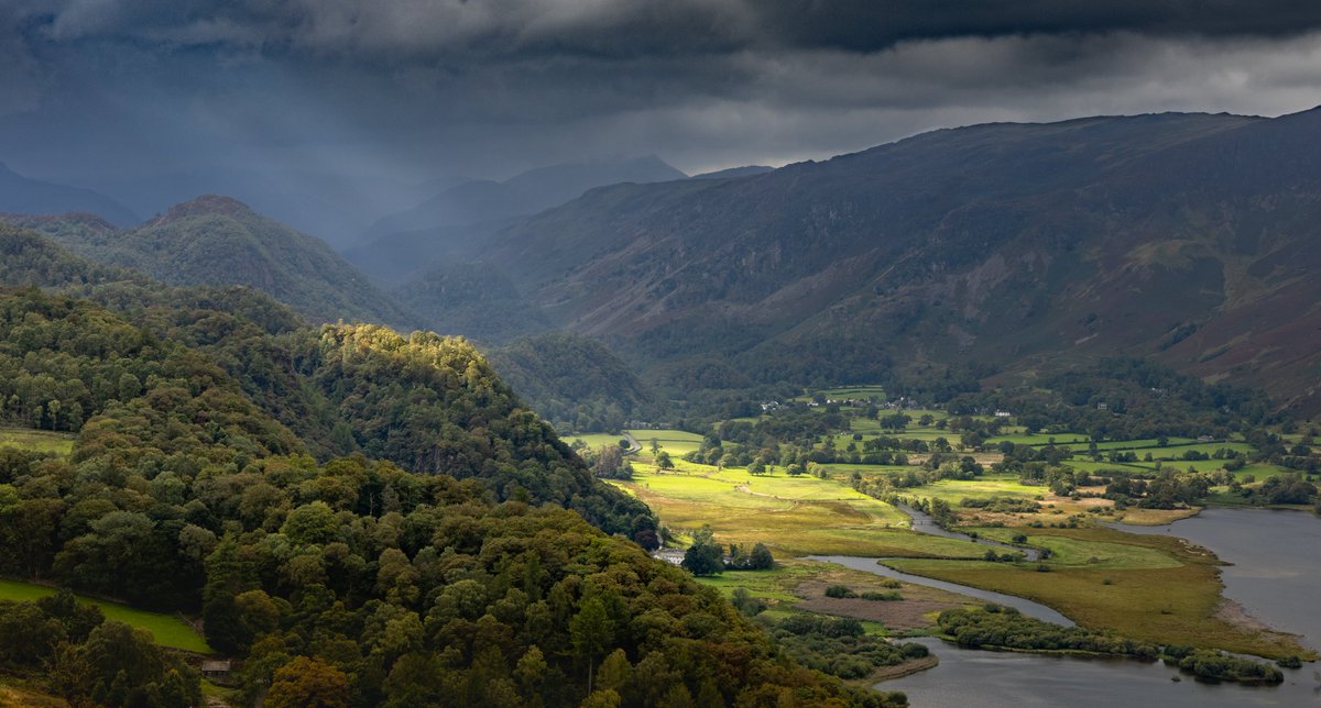 Steven Bernard tweet media