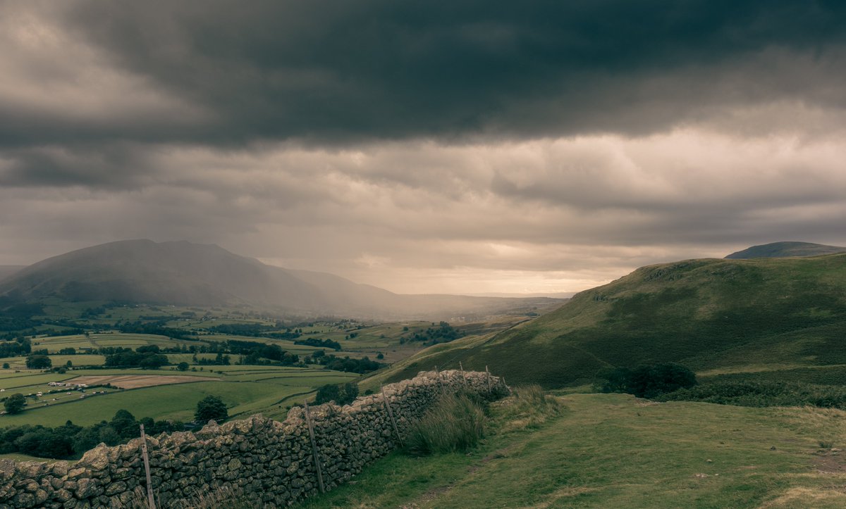 Steven Bernard tweet media