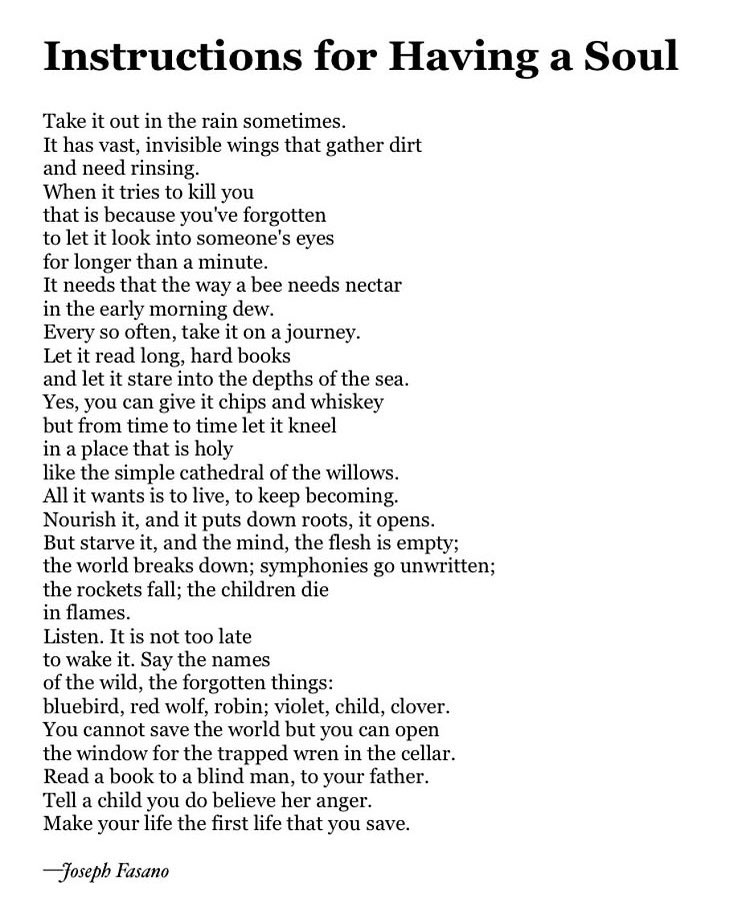 Joseph Fasano tweet media