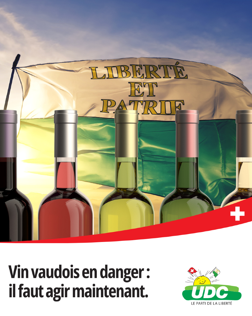 Aujourd’hui, la Suisse importe jusqu’à 60% de vins étrangers. Pendant ce temps, nos vignerons vaudois s’effondrent.
👉 L’UDC Vaud dit STOP : il faut réduire les contingents d’importation

udc-vaud.ch/reforme-des-co…

#UDCVaud #VinVaudois #AgricultureSuisse #SoutienAuxVignerons #UDC