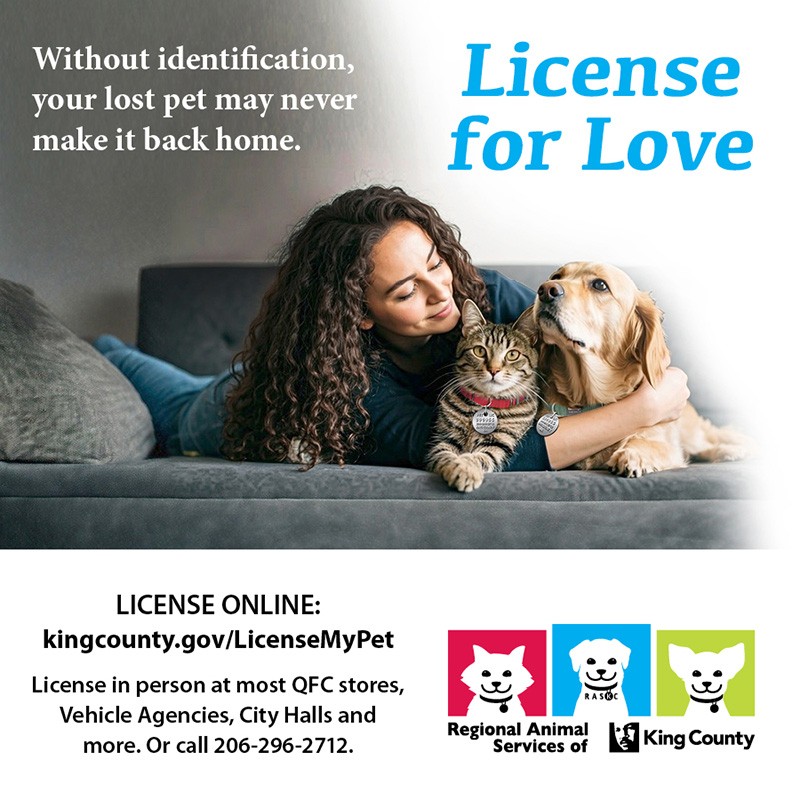 Do you have a furry, four-legged family member? If so, Regional Animal Services of King County reminds us that King County pet licenses are required for dogs and cats 8 weeks of age or older living in the RASKC coverage area, which includes North Bend:  tinyurl.com/nksvc8a3.