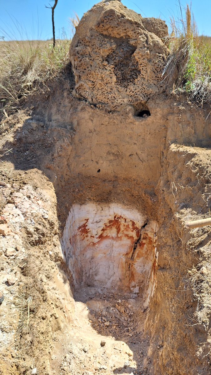 BMG Research Team tweet media