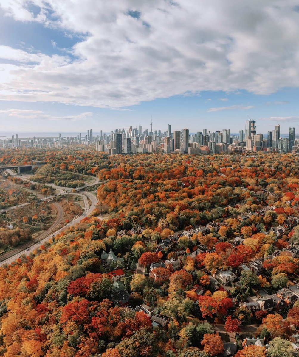Autumn in Toronto 🍂🍁🇨🇦