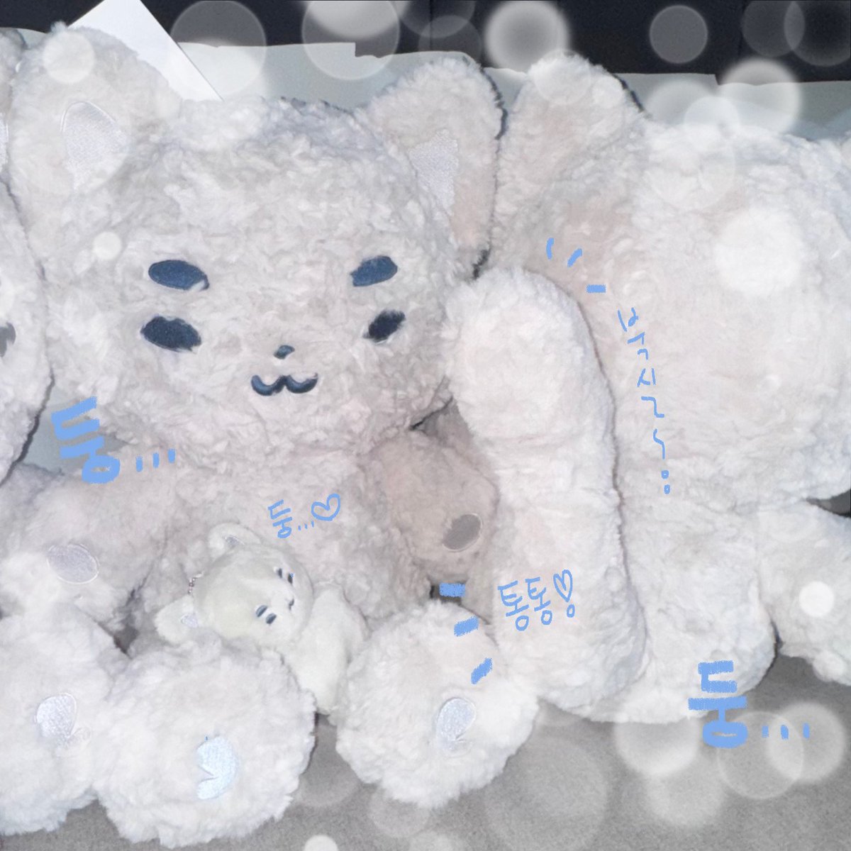 (｀ω´)ฅ⸝⸝ 둥코 40cm 뜡코 선입금폼︎.｡.:*♡

🤍9/12 (금) 20:00 ~ 10/12 (일) 23:59
🔗witchform.com/deposit_form.p…
🤍자세한 내용은 폼에서 확인해주세요
🤍G.O = DM

#RT + #follow 추첨 한 분께 뜡코를 보내드립니다

#정수 #Jungsu #XdinaryHeroes #엑스디너리히어로즈 
#둥둥코 #오늘도_둥코북북