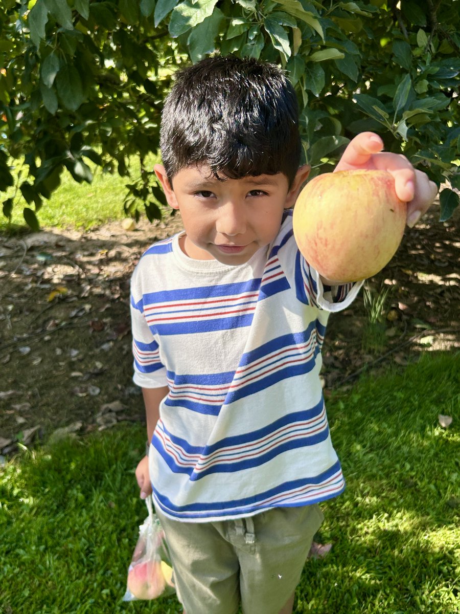 Thank you to Jeter Mountain Farm for hosting our 1st graders last week! These Cougars enjoyed a tractor ride, picked apples, and watched cider pressing in action. 🍎

#WeAreATK🐾