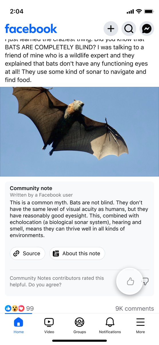 Guy Rosen tweet media