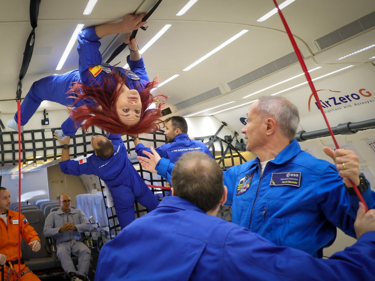 Astro_SaraG's tweet image. 🙃 ¡Qué pasada! Es difícil describirlo con palabras. Al principio parece imposible desenvolverse en ingravidez: evitar chocar con alguien o no salir catapultado ya parece un reto. Pero, tras varias parábolas, cuerpo y mente se adaptan y flotar se vuelve algo natural.

Vuelo 1/3✈️