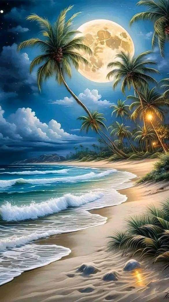 The moonlight is soft, like the little joys in life. May you savor the taste of happiness.🙏🌷🌹🌻😌