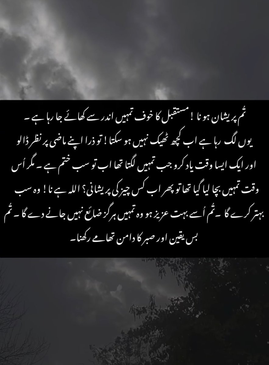 Falak tweet media