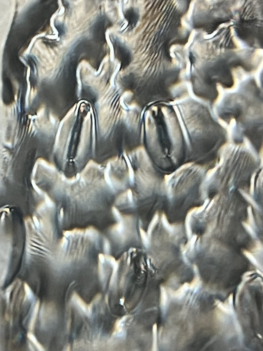 Holly Stuart tweet media