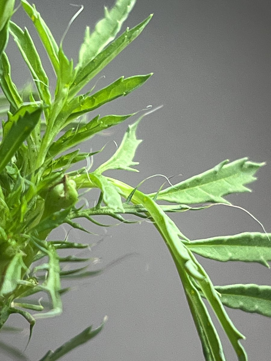 Holly Stuart tweet media