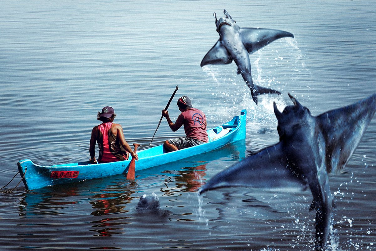 Devil Sharks are highly specialised hunters. They attack land prey by leaping, then plunging with them into the water.
Several jump at once to improve their chances. The pack waits below, ready for a feeding frenzy. They are known to target fishermen by seeking their lines.