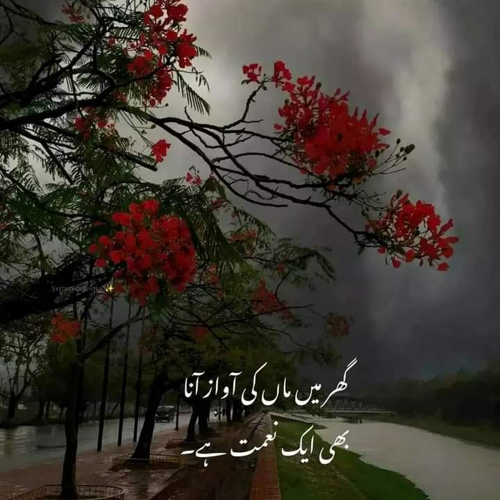 Naziagull72's tweet photo. #NewProfilePic https://t.co/WJUMjEWvV5