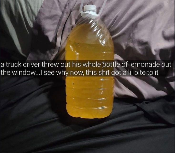 🕐HOURLY🕑 shitpost (@hourly_shitpost) on Twitter photo 