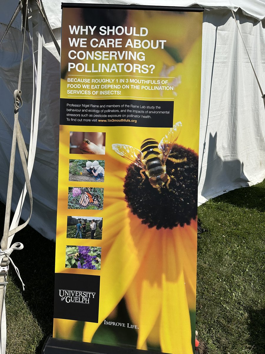 Nigel Raine (@nigeleraine) on Twitter photo If you’re a farmer or farm worker visiting the #COFS25 please consider answering our <a href="/uofg/">University of Guelph</a> survey about #pollinators. It’s $20 cash for 5-10 mins of your time. Come find us in the <a href="/OntarioSoilCrop/">Ontario Soil & Crop</a> tent (S-610) on the corner of 6th lane x SE mall <a href="/outdoorfarmshow/">Canada's Outdoor Farm Show</a> #bees If you’re a farmer or farm worker visiting the #COFS25 please consider answering our <a href="/uofg/">University of Guelph</a> survey about #pollinators. It’s $20 cash for 5-10 mins of your time. Come find us in the <a href="/OntarioSoilCrop/">Ontario Soil & Crop</a> tent (S-610) on the corner of 6th lane x SE mall <a href="/outdoorfarmshow/">Canada's Outdoor Farm Show</a> #bees
