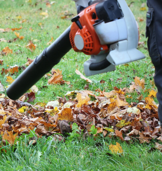 Going Electric for the Lawn 
Building on the success of the City’s gas leaf blower ban, the City partnered with Clean Air Partners on their annual electric landscaping equipment swap. Estimates range from 30,000 to 100,000 tons of CO2 saved annually in Alexandria from this effort