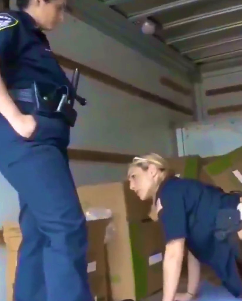 Sophie's enigmatic charmHer captivating presenceA glimpse into her world