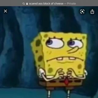 The Damsel King tweet media