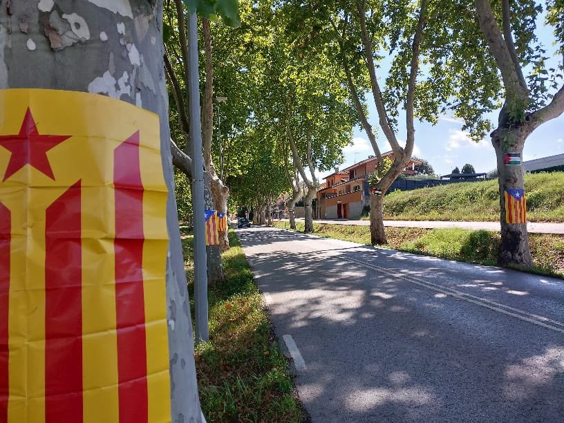 Bona diada! ✊🏻
Calldetenes, Països Catalans