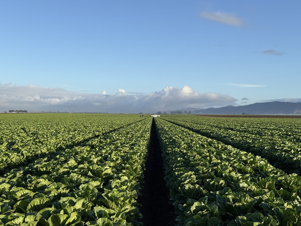 Stout Industrial Technology tweet media