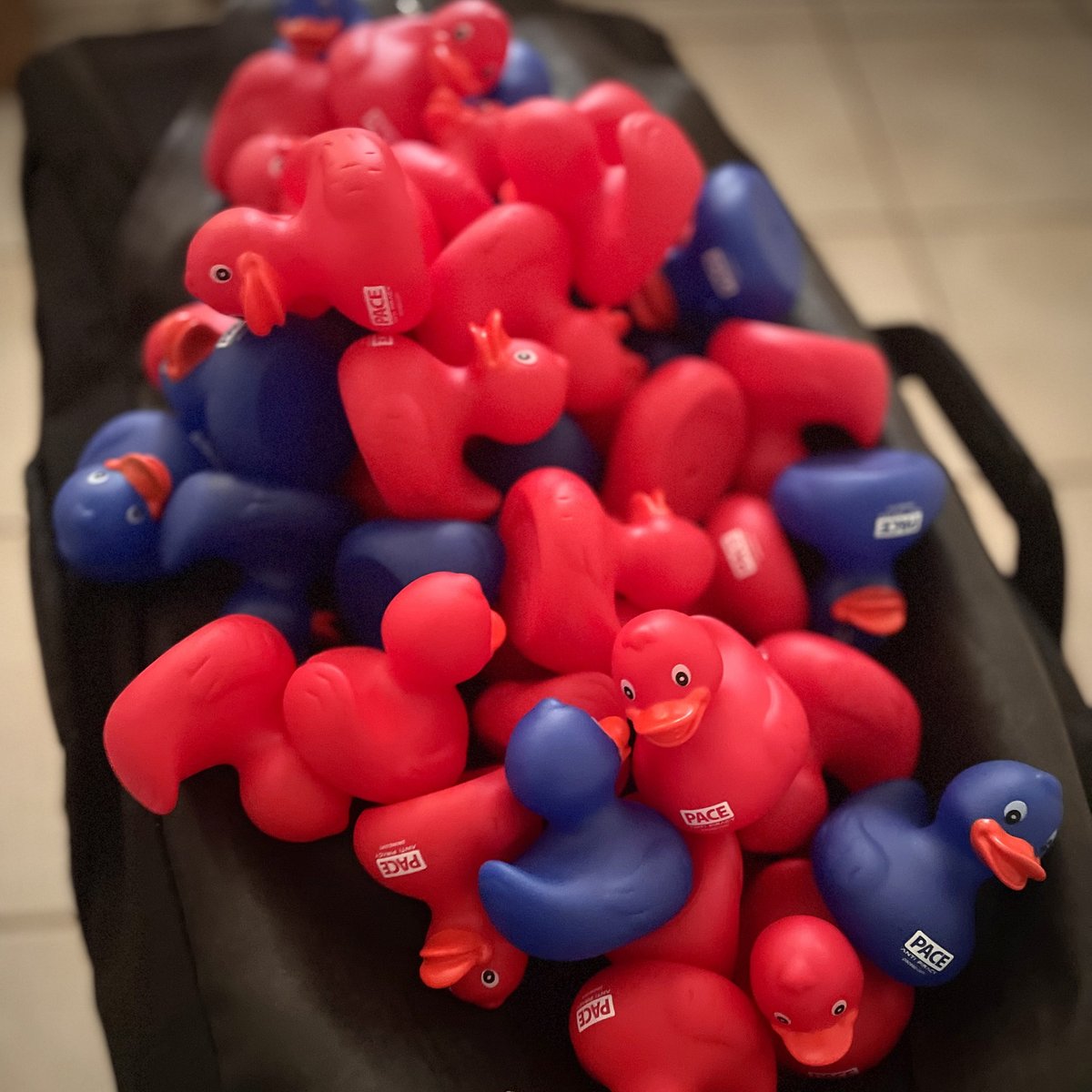 All quacked up and on my way to the <a href="/IBCShow/">IBC</a>!

#threat 🔴 ducks &amp; #protect 🔵 ducks on their way to support the <a href="/paceantipiracy/">PACE Anti-Piracy</a> Fusion AI 🚀 #IBC2025 Amsterdam.

paceap.com/products/fusio…

#AI #software #AImodel #security